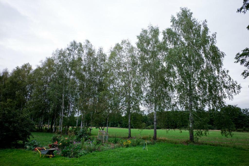 Obere Muehle - Scheunenwohnung Mitten Im Gruenen Baunach Exterior foto